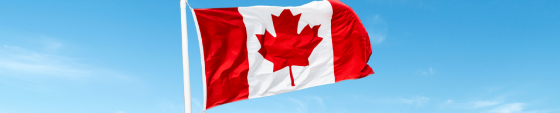 Canadian flag on a pole with a sky background