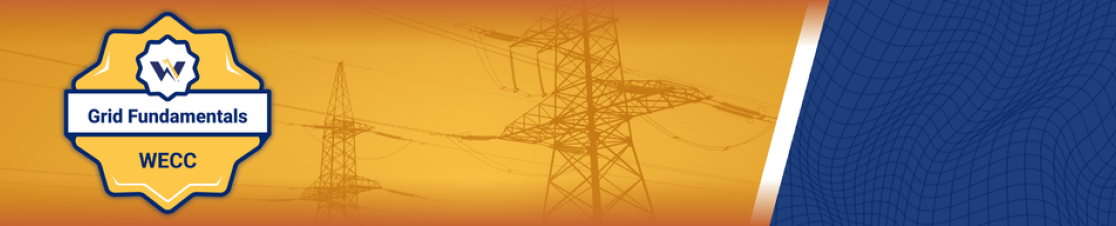 Grid Fundamental badge on yellow background of transmission towers