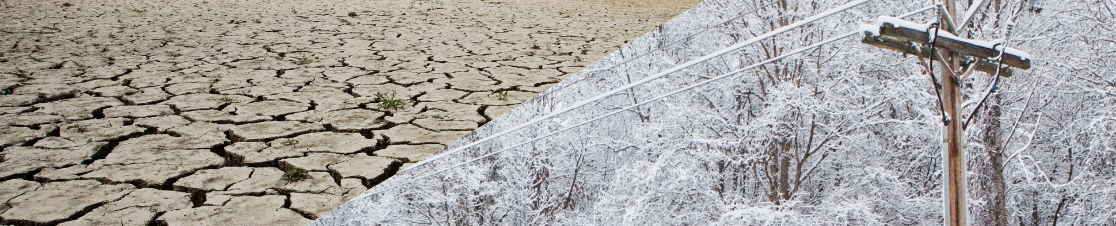 Extreme Natural Events